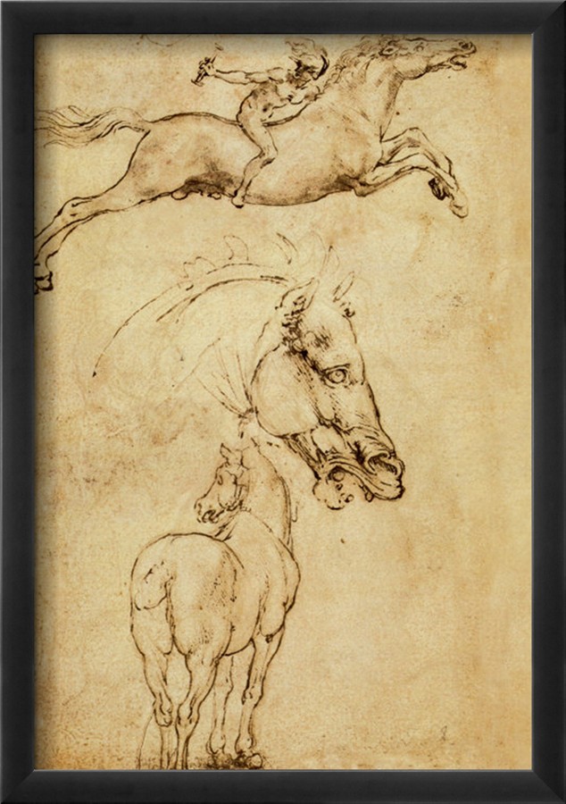 Sketch Of A Horse - Leonardo Da Vinci Painting